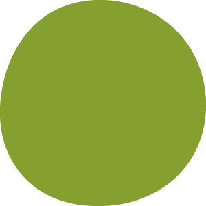 Colore copertina - Verde